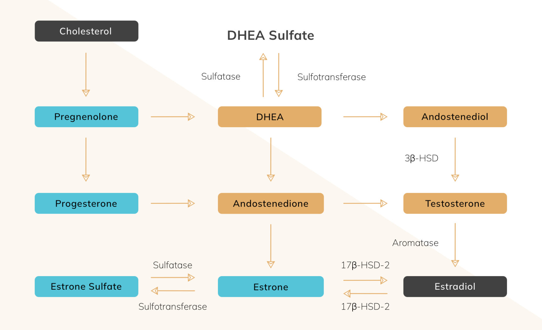 What is hormone replacement therapy?