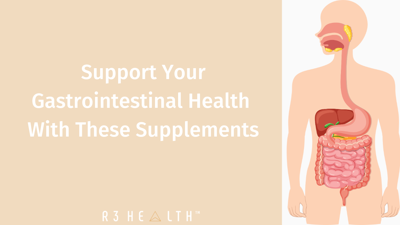 gut health support supplements