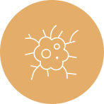 cancer detection cancer detection